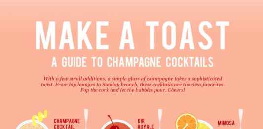 A Guide to Champaigne Cocktails Infographic
